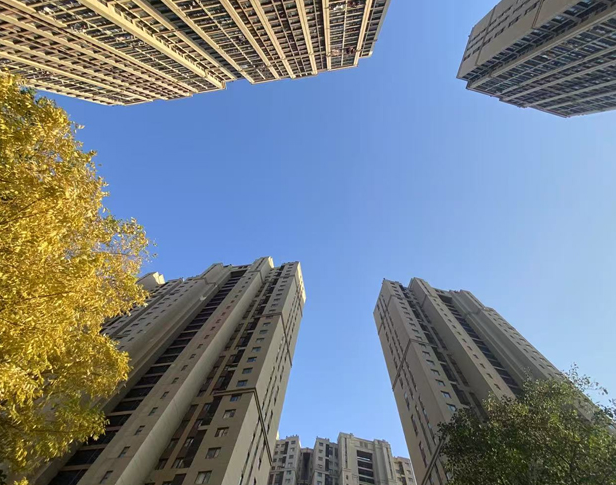 1755925971616151.png image.png